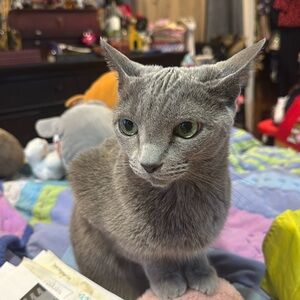 2024 Happy Thanksgiving BLACK FRIDAY SALE Start Today thru Sunday